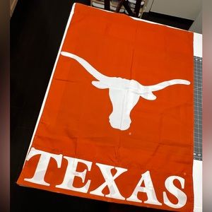 Texas Longhorn Flag